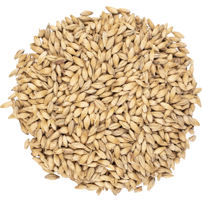 Malt - Viking Malt Pale Ale - Per Lb (Showroom Only)