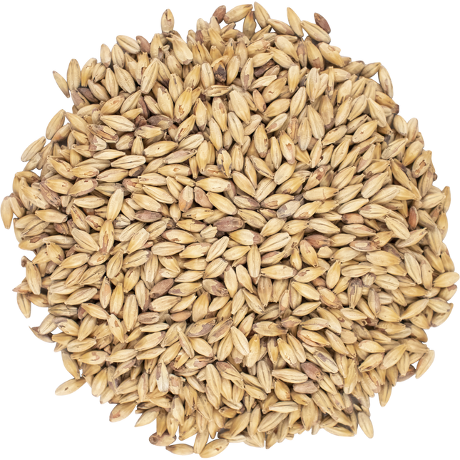 Malt - Viking Malt Cookie - Per Lb (Showroom Only)