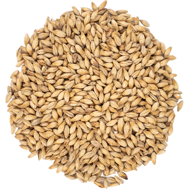 Malt - Viking Malt Golden Ale - Per Lb (Showroom Only)