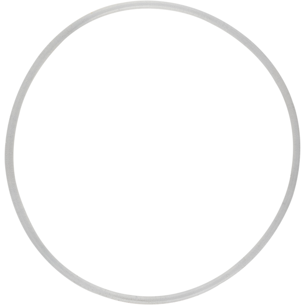 Replacement O-Ring for Chugger Stainless Pump Head