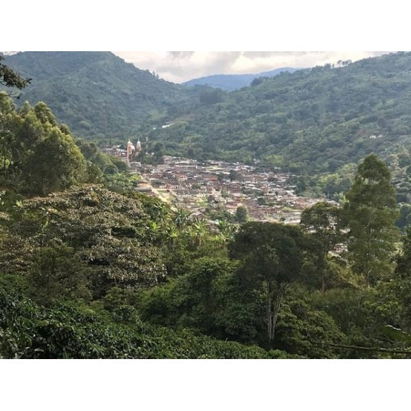 Single-Origin Reserve Series - Colombia Finca Palmichal, Wet Processed - PLACEHOLDER