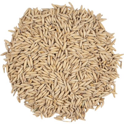 Viking Specialty Malts