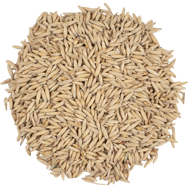 Malt - Viking Malt Oat - Per Lb (Showroom Only)