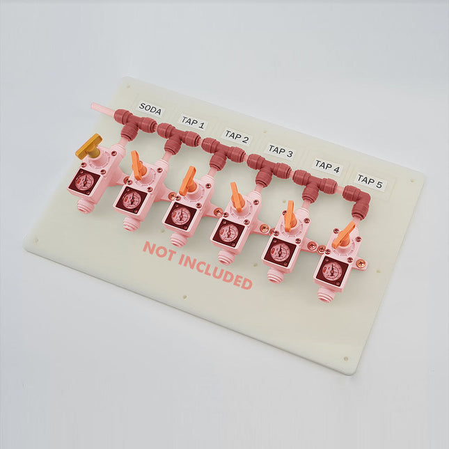 6 Output Gas Board for Duotight In-Line Plastic Regulator