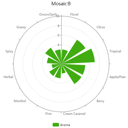 Whole Hops - Mosaic - PLACEHOLDER