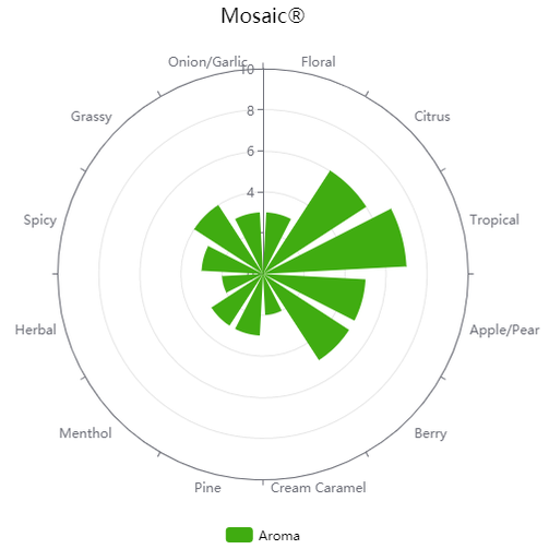 Whole Hops - Mosaic - PLACEHOLDER