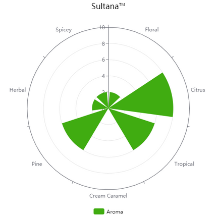 Pellet Hops - Sultana - Experimental #06277 & Denali - PLACEHOLDER