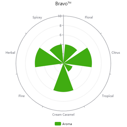 Pellet Hops - Galaxy - PLACEHOLDER