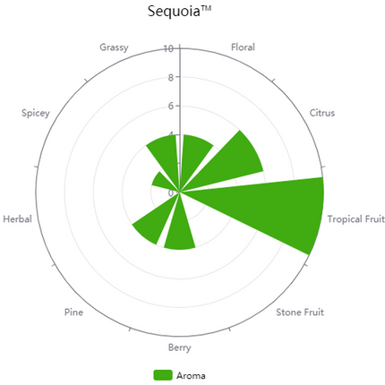 Pellet Hops - Sequoia HS-1228 - PLACEHOLDER