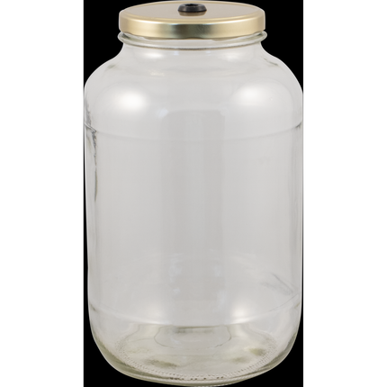 1 Gallon Glass Jar Fermenter Kit - Lug Finish - S-Shaped Airlock