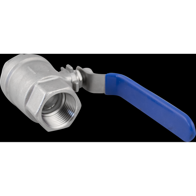 Stainless Ball Valve - PCO 1881 x 3/4 in. Female BSP