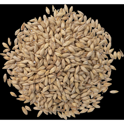 Malt - Great Western American  Pale - Per Lb (Showroom Only)