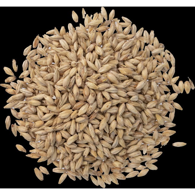 Malt - Great Western American  Pale - Per Lb (Showroom Only)