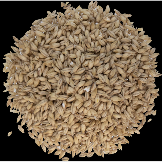 Malt - Briess Pilsen - Per Lb (Showroom Only)