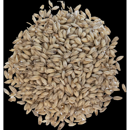 Malt - Rahr 6-Row - Per Lb (Showroom Only)