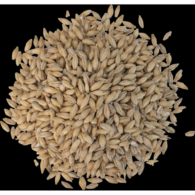 Malt - Belgian Pilsner - Per Lb (Showroom Only)