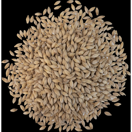 Malt - Crisp - No. 19 Floor Malted Maris Otter - Per Lb (Showroom Only)