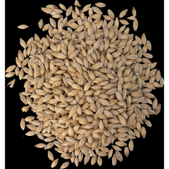 Malt - Fawcett Malting Maris Otter - Per Lb (Showroom Only)