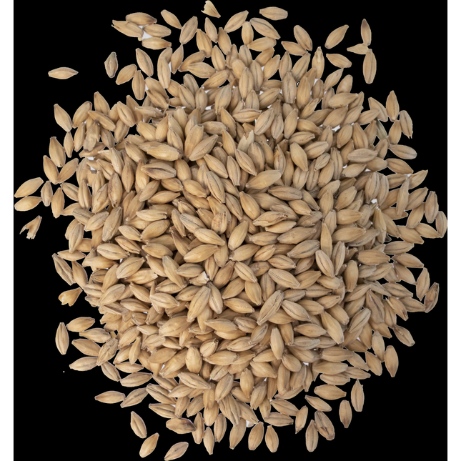 Malt - Fawcett Malting Maris Otter - Per Lb (Showroom Only)