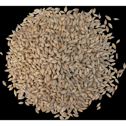 Malt - Fawcett Malting Pearl - Per Lb (Showroom Only)