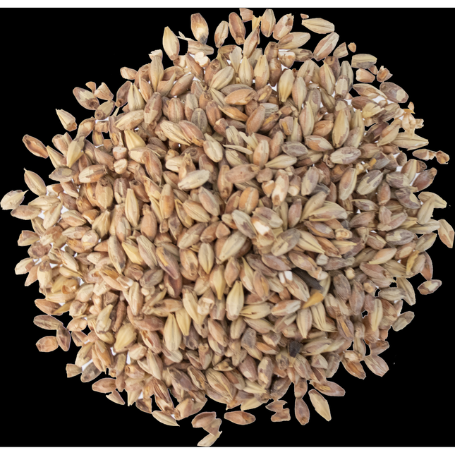 Malt - Bonlander Munich - Per Lb (Showroom Only)