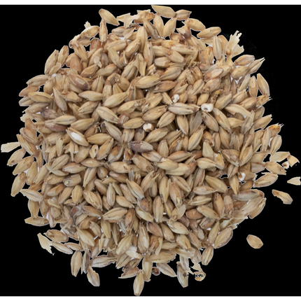Malt - Goldpils Vienna - Per Lb (Showroom Only)