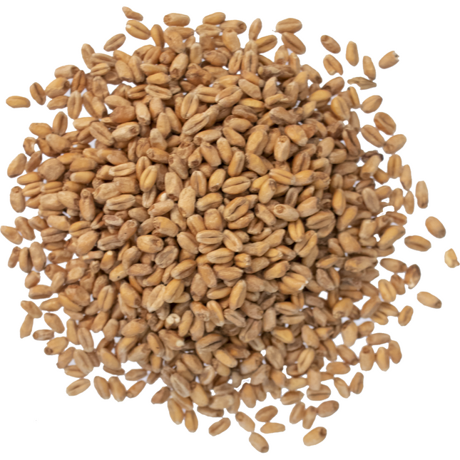 Malt - Viking Malt Smoked Wheat - Per Lb (Showroom Only)