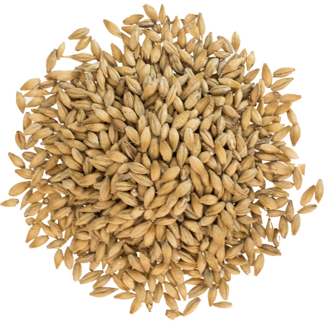 Malt - Viking Malt 2-Row Xtra Pale - Per Lb (Showroom Only)