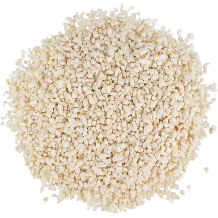 Japanese White Koji - PLACEHOLDER