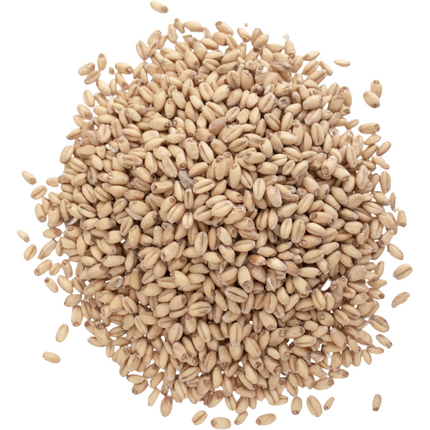 Malt - Briess White Wheat - Per Lb (Showroom Only)