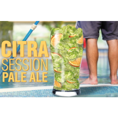 Beer Recipe Kit Bundle - National Beer Day Celebration Pack! - PLACEHOLDER