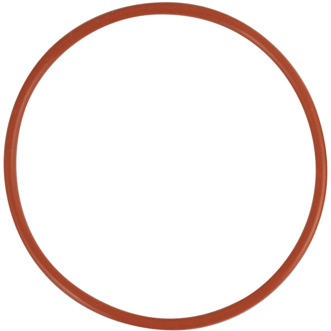 Riptide Brewing Pump - Replacement O-Ring