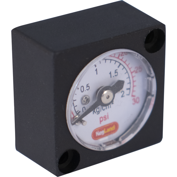Mini Pressure Gauge (0-30 psi)