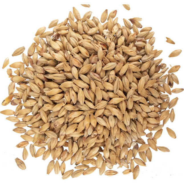 Malt - Viking Malt Munich Dark - Per Lb (Showroom Only)