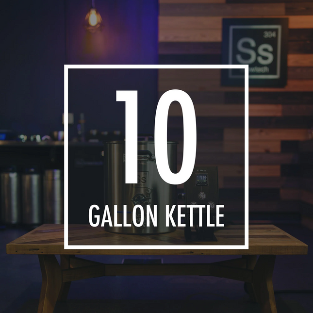 Ss BrewTech - eBrewing - 1V System - 10 gal