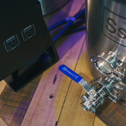 Ss BrewTech - eBrewing - 1V System - PLACEHOLDER