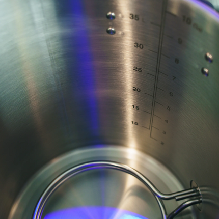 Ss BrewTech - eBrewing - 2V System - PLACEHOLDER