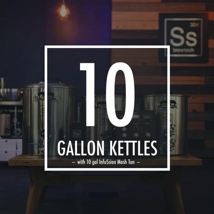 Ss BrewTech - eBrewing - 3V System - 10 gal