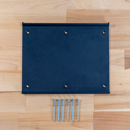 Ss BrewTech - eController - Wall Mount - PLACEHOLDER