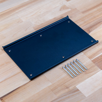 Ss BrewTech - eController - Wall Mount - PLACEHOLDER