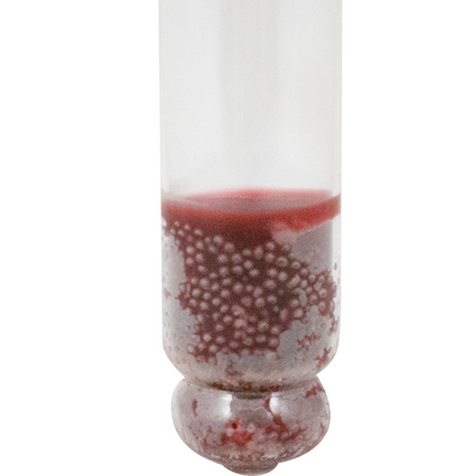 Alla France - Triple Scale Hydrometer 