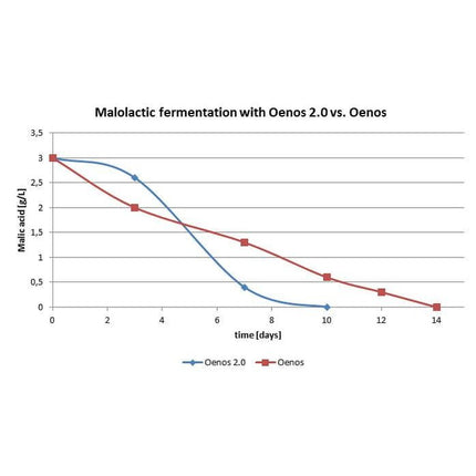 Dry Malolactic Wine Bacteria - Viniflora - Oenos 2.0