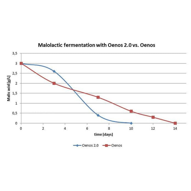 Dry Malolactic Wine Bacteria - Viniflora - Oenos 2.0