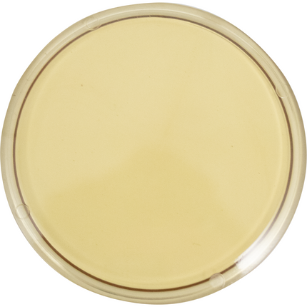 3 in. T.C. Sight Glass Disc (Lens) - Polyphenylsulfone (PPSU)