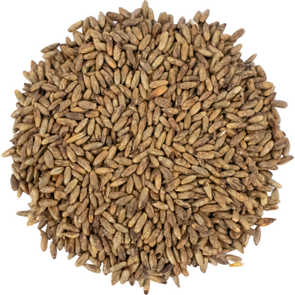 Malt - Briess Caramel Rye - Per Lb (Showroom Only)