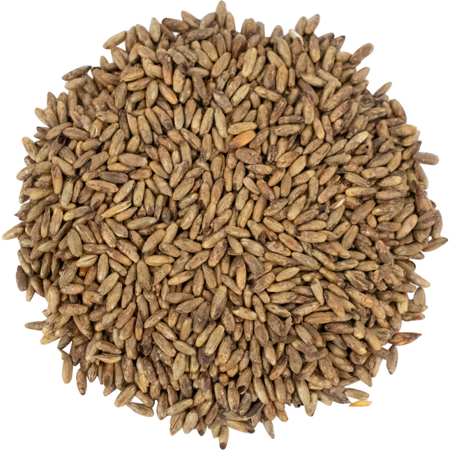 Malt - Briess Caramel Rye - Per Lb (Showroom Only)