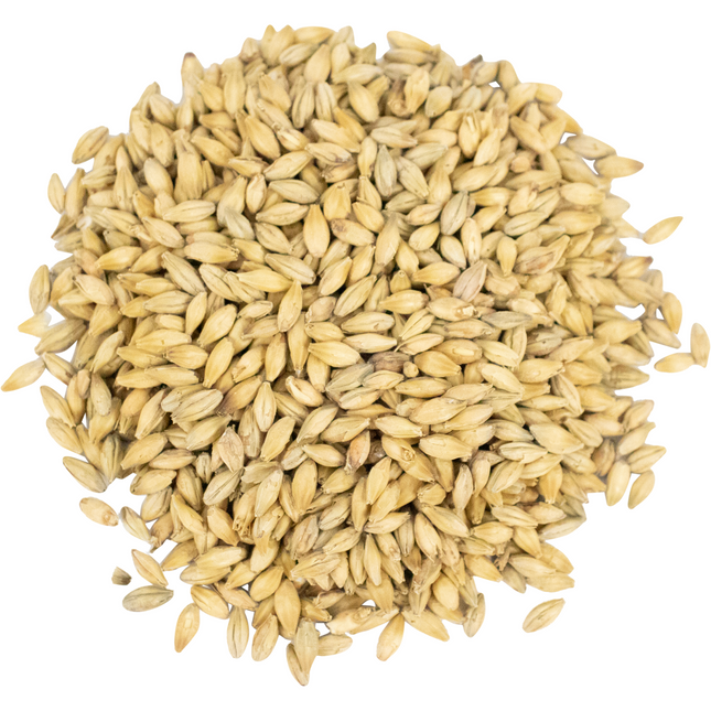 Malt - Viking Malt Pilsner Zero - Per Lb (Showroom Only)