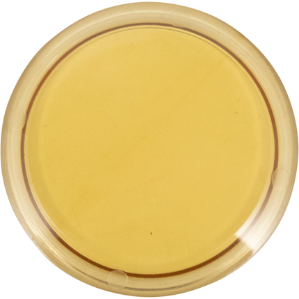 2 in. T.C. Sight Glass Disc (Lens) - Polyphenylsulfone (PPSU)