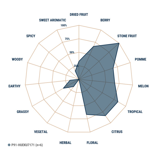 Pellet Hops - Ekuanot (Equinox) - YCH - PLACEHOLDER