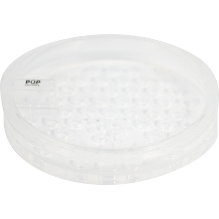 Pop Cultures Food Fermentation Screen